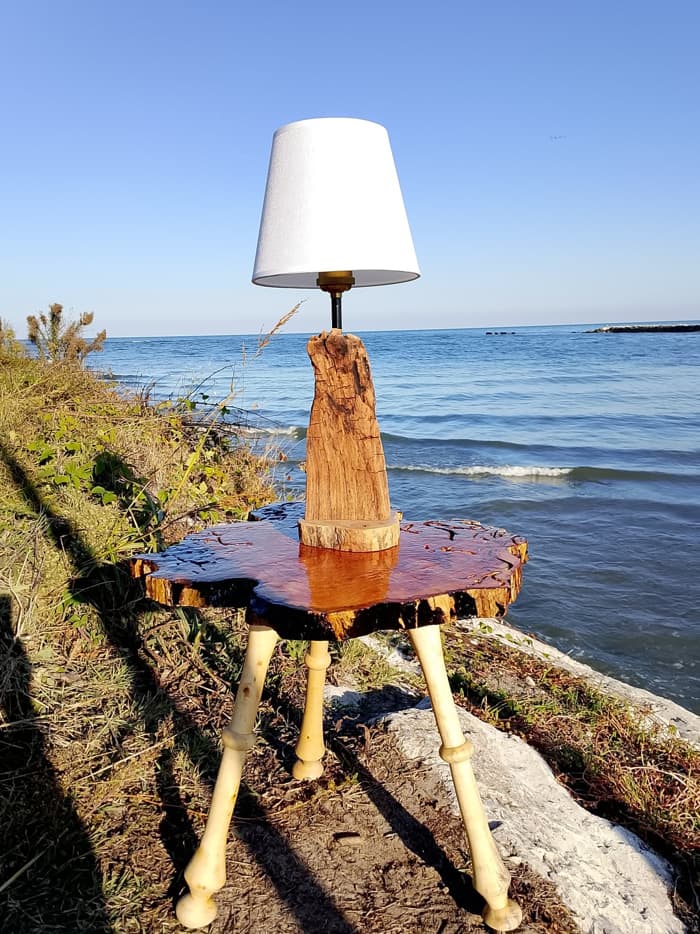Treibholz-Unikat "Rügen": Natürliche Skulptur für dein Zuhause